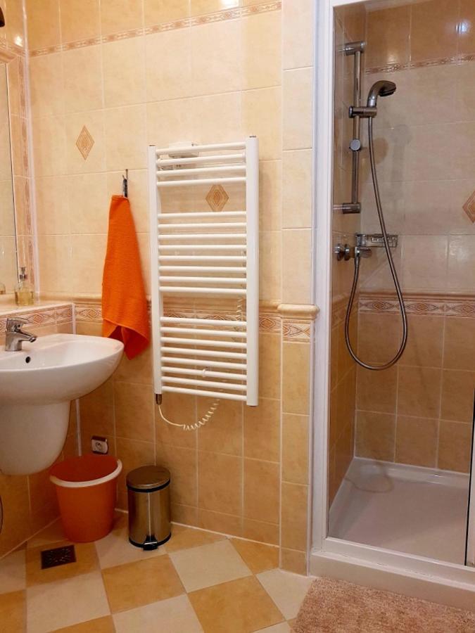 Appartment Centrum カルロヴィ・ヴァリ エクステリア 写真