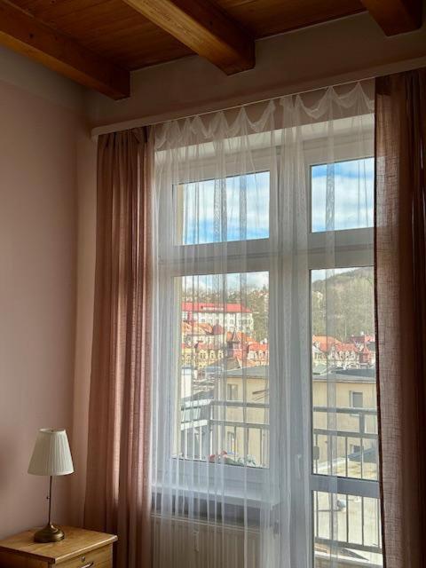 Appartment Centrum カルロヴィ・ヴァリ 部屋 写真